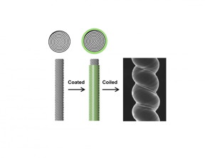 This illustration shows a twisted carbon nanotube yarn (CNT) (left) and a sheath-run artificial muscle (SRAM) made by coating a twisted CNT yarn with a polymer sheath. A scanning electron microscope image of a 42-micron outer-diameter coiled SRAM is shown on the right.

CREDIT
The University of Texas at Dallas