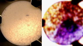 A new imaging technology rapidly measures the chemical compositions of solids. A conventional image of a sample pill is shown at left; at right, looking at the same surface with terahertz frequencies reveals various ingredients as different colors. Such images would aid quality control and development in pharmaceutical manufacturing, as well as medical diagnosis and treatment.

CREDIT
Sterczewski et al.