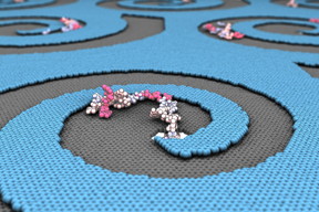 Laboratory-engineered membrane defects with edges that spiral downward would give biomolecules like DNA, RNA and proteins no other option than to sink into a nanopore for delivery, sorting and analysis.

Graphic courtesy Manish Shankla