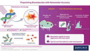 Figure 1. Schematic illustration of a new approach in fluorescence microscopy for biomolecules with nanometer-scale precision