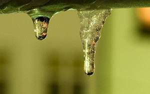 The coexistence of ice and liquid water breaks down at the nanoscale.

Credit: Wikimedia Commons
