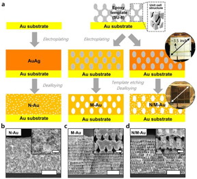 Fabrication procedures of various gold nanostructures through proximity-field nanopatterning (PnP) and electroplating techniques.

CREDIT
Professor Seokwoo Jeon and Professor Jihun Oh, KAIST