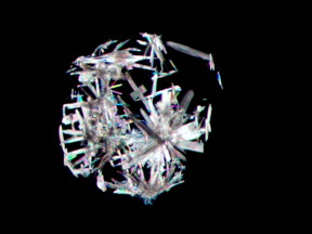 Scientists have successfully developed a new technique to reliably grow crystals of organic soluble molecules from nanoscale droplets, unlocking the potential of accelerated new drug development.

CREDIT
Dr Michael Hall, Newcastle University