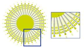 Scientists patterned thin films of strontium ruthenate -- a metallic superconductor containing strontium, ruthenium, and oxygen -- into the 'sunbeam' configuration seen above. They arranged a total of 36 lines radially in 10-degree increments to cover the entire range from 0 to 360 degrees. On each bar, electrical current flows from I+ to I-. They measured the voltages vertically along the lines (between gold contacts 1-3, 2-4, 3-5, and 4-6) and horizontally across them (1-2, 3-4, 5-6). Their measurements revealed that electrons in strontium ruthenate flow in a preferred direction unexpected from the crystal lattice structure.

CREDIT
Brookhaven National Laboratory