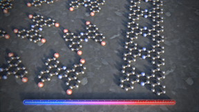 The individual building blocks are heated on a silver surface in order to synthesize a porous graphene ribbon that exhibits semiconducting properties and a ladder-like structure. In each rung of the ladder, two carbon atoms have been replaced with nitrogen atoms (blue).

CREDIT
University of Basel, Department of Physics