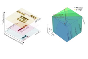 An array of crystal shapes of 2D transition metal dichalcogenides as imaged with a scanning electron microscope. (Image courtesy of MSNE/Rice University)