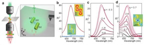 (a) Schematics of the QD-loaded nanoantenna excited by a polarization-controlled light beam. (b) Simulated spectral dispersions and spatial distributions of the local-field responses under x-polarized and y-polarized excitation. (c,d) Simulated spectral dispersions of local-field responses under elliptically polarized excitation. The spectra exhibit Fano lineshapes with tunable Fano asymmetry parameter q and nearly vanishing Fano dips. Local-field distributions show that at the Fano dips the hot spot at the nanogap can be turned into a cold spot.

CREDIT
by Juan Xia, Jianwei Tang, Fanglin Bao, Yongcheng Sun, Maodong Fang, Guanjun Cao, Julian Evans, and Sailing He