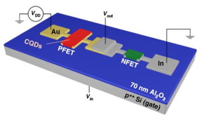 By depositing gold (Au) and Indium (In) contacts, researchers create two crucial types of quantum dot transistors on the same substrate, opening the door to a host of innovative electronics.

CREDIT
Los Alamos National Laboratory/University of California, Irvine