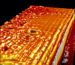 Massive work function-mediated charge transfer in graphene/?-RuCl3 heterostructures provides the necessary conditions for generating plasmon polaritons without electrostatic or chemical doping. The image depicts a characteristic infrared near-field image of such a heterostructure, revealing a host of plasmonic oscillations derived from substantial mutual doping of interfacial graphene/?-RuCl3 layers.

CREDIT
Daniel J. Rizzo/Columbia University
