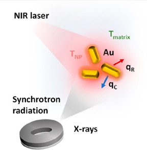 Photothermal excitation of gold-based nanomaterials: the
nanoparticle absorbs NIR (near infrared) light resulting in a localized
heating. X-rays act as a probe of the local temperature.

Image credit: NanoLetteres