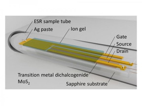 Schematic diagram of the MoS2 transistor in an ESR sample tube.

CREDIT
University of Tsukuba