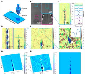 Fig. 1. Observation of the cavitation-dominated crack propagation in a metallic glass.

CREDIT
Institute of Physics