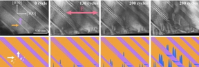 Electron microscopy images show the degradation in action.

CREDIT
University of Sydney