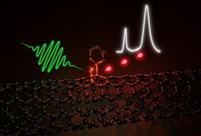 The optical properties of carbon nanotubes, which consist of a rolled-up hexagonal lattice of sp2 carbon atoms, can be improved through defects. A new reaction pathway enables the selective creation of optically active sp3 defects. These can emit single photons in the near-infrared even at room temperature.

CREDIT
Simon Settele (Heidelberg)