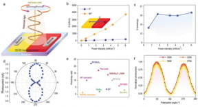 (a) Schematic structure of polarized light detector. (b) Photoconductivity parallel and perpendicular to the interface. (c) Photoconductivity anisotropy versus excitation power. (d) Angle-resolved photocurrent as a function of polarization angle measured at 405 nm under zero bias. (e) Experimental polarization ratios of some reported polarized light detectors. (f) Angle-dependent photocurrent of the present device measured at different temperature.

CREDIT
@Science China Press