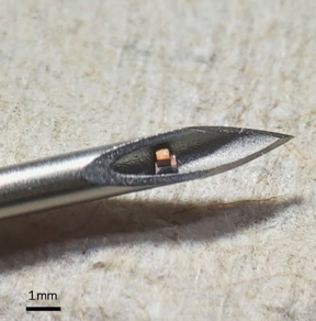 Chips shown in the tip of a hypodermic needle.

﻿Chen Shi/Columbia Engineering