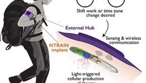 In this artistic illustration, a user with an NTRAIN implant and its accompanying external hub works in the field. The user inputs a desired time shift (due to shift work or travel across time zones). Based on cues from the bodys physiology, the external hub detects the users circadian rhythm, and triggers the implant to produce precisely-dosed peptide therapies.