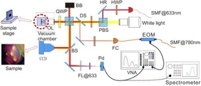 Schematic representation of an experimental setup for receiving and recording phonon radiation.

CREDIT
Konstantin Arutyunov et al.