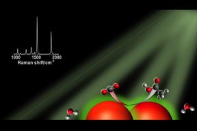 In the right conditions, silver nanoparticles, represented by the large orange spheres, can absorb visible light. Charge carriers produced by light excitation are transferred to CO2 and water, allowing the conversion to hydrocarbons and other multicarbon molecules. In the graphic, carbon atoms are black, oxygen atoms are red and hydrogen atoms are white.

Graphic courtesy D. Devasia/Jain Lab/University of Illinois Urbana-Champaign