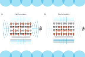 The principle of Pauli blocking can be illustrated by an analogy of people filling seats in an arena. Each person represents an atom, while each seat represents a quantum state. At high temperatures (a), atoms are seated randomly, so every particle can scatter light. At low temperatures (b), atoms crowd together. Only those with more room near the edge can scatter light.
Credits:Credit: Courtesy of the researchers