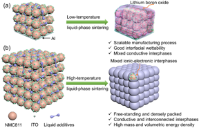 Researchers designed solid-state composite electrodes based on the liquid-phase sintering technique.

CREDIT
Nano Research