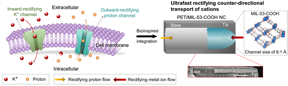 Ultrafast rectifying counter directional transport of cations

CREDIT
Professor Huanting Wang, Department of Chemical and Biological Engineering, Monash Centre for Membrane Innovation, Monash University