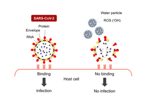 When the envelope, protein, and RNA of SARS-CoV-2 are damaged by nano-sized electrostatic atomized water particles, the virus is unable to bind to host cells.
CREDIT
Osaka Metropolitan University