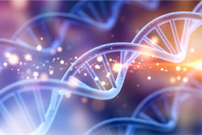 Illustration of DNA. Credit: Shutterstock
