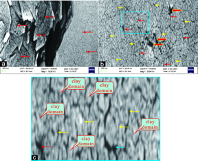 a) and b): A large number of nanopores (red arrows) and nanofissures (yellow arrows) developed in the clay layers, which originally adsorbed organic matter and later became the site for hydrocarbon accumulation. c): A larger view of visual b)
CREDIT
Dr. He Wenyuan and Earth Science Frontiers
