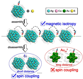 The magnetism performances of Ag77Cu22 nanoclusters after assembly and disassembly (The inset in red circle presents the absence of spin coupling in Au250 due to the long interparticle distance)

CREDIT
XIA Nan