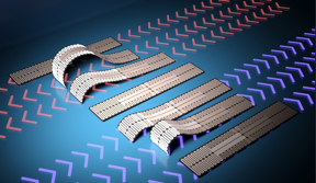 Researchers at North Carolina State University have demonstrated a caterpillar-like soft robot that can move forward, backward and dip under narrow spaces. The caterpillar-bot’s movement is driven by a novel pattern of silver nanowires that use heat to control the way the robot bends, allowing users to steer the robot in either direction.

CREDIT
Shuang Wu, NC State University
