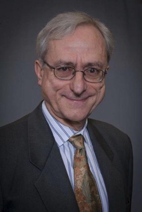 G. Paolo Galdi, Distinguished Professor of Mechanical Engineering & Materials Science at the University of Pittsburgh

CREDIT
University of Pittsburgh