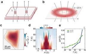 a. Vortices in three-dimensional superconductors; b. Vortices in the two-dimensional limit have characteristic scales that exceed the size of the sample; c. Magnetic susceptibility imaging of single-layer Bi2Sr2CaCu2O8+δ; d. In the critical temperature region near the transition temperature Tc = 64 K, a paramagnetic peak appears in the susceptibility of the single-layer and oscillates with an external field; e. The width of the paramagnetic peak increases with temperature, indicating that vortex-antivortex pairs are gradually separated, leading the system to undergo a Berezinskii-Kosterlitz-Thouless (BKT) transition.