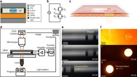 Overview of the OEW-based droplet dispensing system. a Schematic diagram of the microchip. b Equivalent circuit diagram of OEW. c Principle diagram of OEW. d Schematic diagram of the system. e Side view (f) Top view of droplet manipulation ((i) Initial. (ii) Contact angle of droplet changed with input signal and light pattern. (iii) Droplet driven by light pattern.

Credit
Microsystems & Nanoengineering
