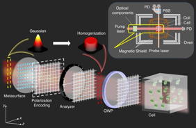 Schematic diagram of the beam homogenization method based on polarization-encoded metasurface. QWP quarter-wave plate, PD photoelectric detection. The inset in the upper right corner illustrates the NMR co-magnetometer configuration implemented using this approach.

Credit
Microsystems & Nanoengineering